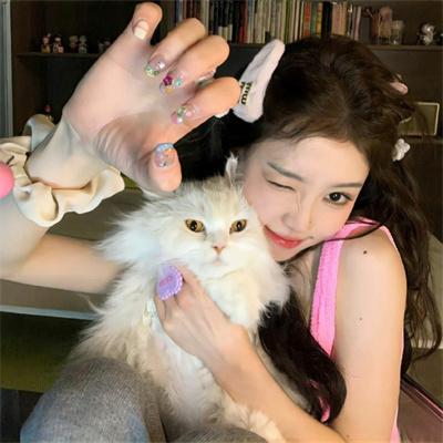 忘情不知家何处